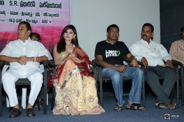 Seenugadi Love Story Movie Audio Launch